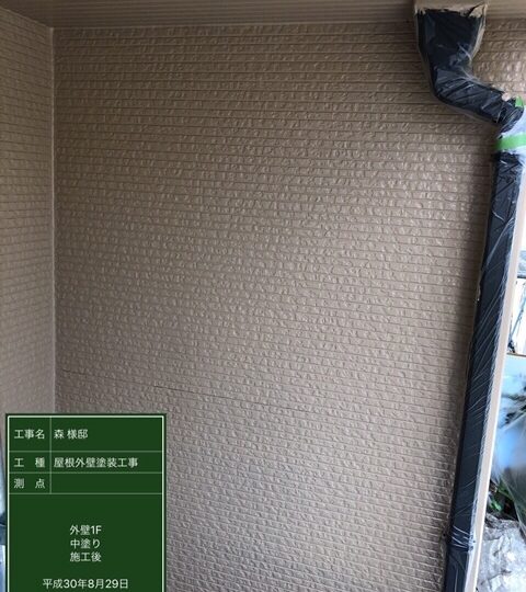 外壁中塗り完了