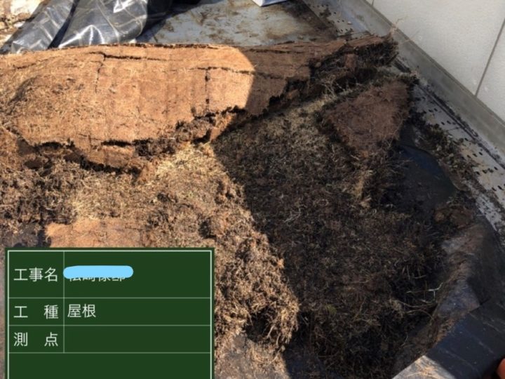 屋上 芝生撤去