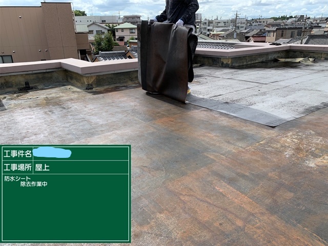 屋上防水 除去作業