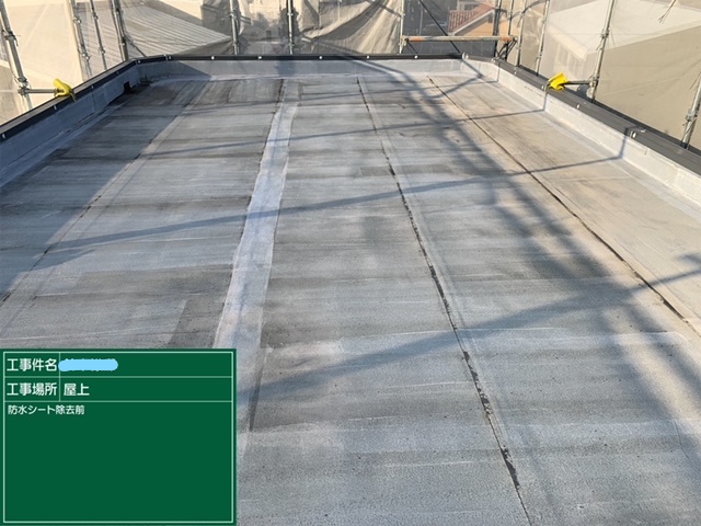 屋上防水